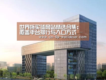 案例展示四