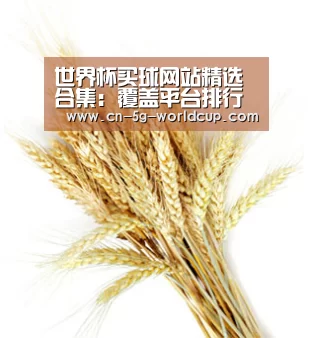 世界杯买球网站精选合集：覆盖平台排行与入口方式 - 2026世界杯