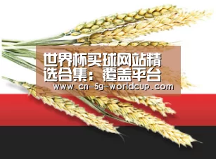 世界杯买球网站精选合集：覆盖平台排行与入口方式 - 2026世界杯